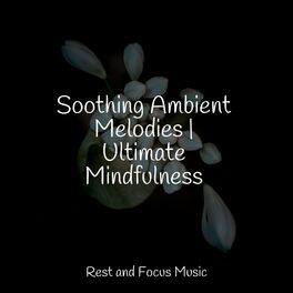 Album cover of Soothing Ambient Melodies | Ultimate Mindfulness