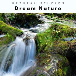 Album cover of Dream Nature