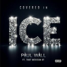 Album cover of Covered in Ice