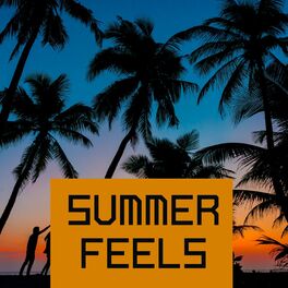 Album cover of Summer Feels