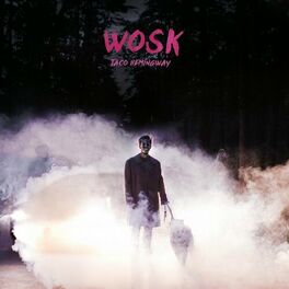 Album cover of Wosk