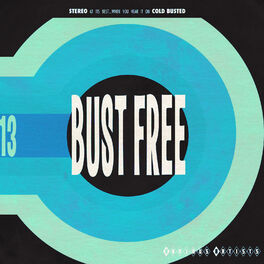 Album cover of Bust Free 13