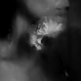 Album cover of Holding Absence