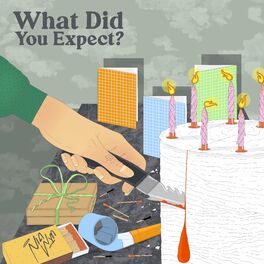 Album cover of What Did You Expect