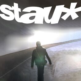 Album cover of stau