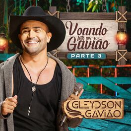 Album cover of Voando Feito Um Gavião, Pt. 3