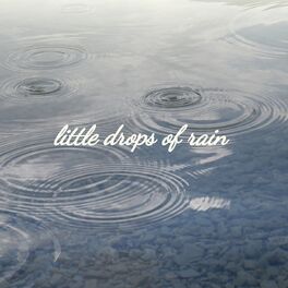 Album cover of Little Drops of Rain