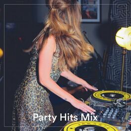 Album cover of Party Hits Mix