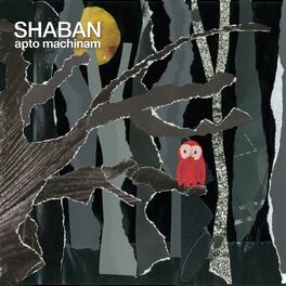 Album cover of Apto Machinam