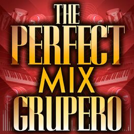 Album cover of The Perfect Mix - Grupero