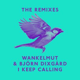 Album cover of I Keep Calling (Remixes)