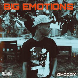 Album cover of BIG EMOTIONS