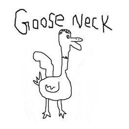 Album cover of Goose Neck