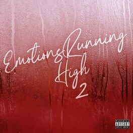 Album cover of Emotions Running High 2
