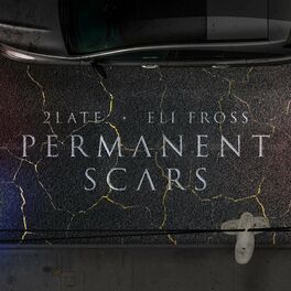 Album cover of Permanent Scars (feat. Eli Fross)