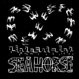 Album cover of Seahorse
