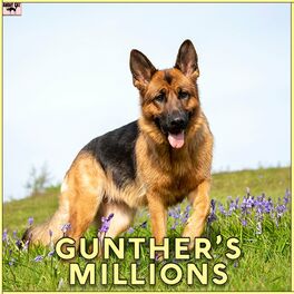 Album cover of Gunther's Millions