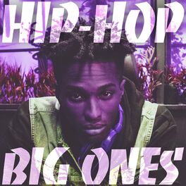 Album cover of Hip-Hop Big Ones