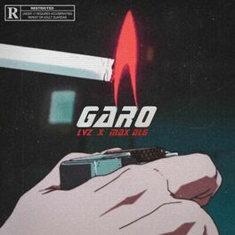 Album cover of Garo (feat. Max DLG)