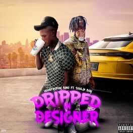 Album cover of Dripped In Designer (feat. Soulja Boy Tell 'Em)