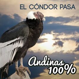 Album cover of Andinas 100% - el Condor Pasa
