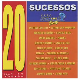 Album cover of 20 Sucessos Somzoom, Vol. Xlll