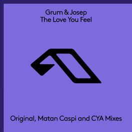 Album cover of The Love You Feel