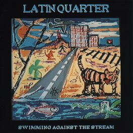 Album cover of Swimming Against the Stream