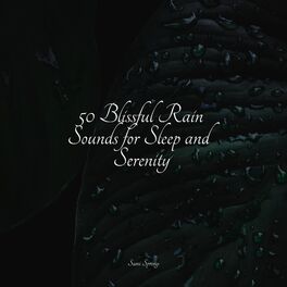 Album cover of 50 Blissful Rain Sounds for Sleep and Serenity
