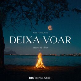 Album cover of Deixa Voar