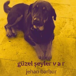 Album cover of Güzel Şeyler Var