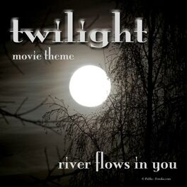Album cover of Twilight (River Flows in You)