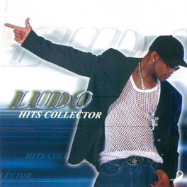 Album cover of Hits Collector