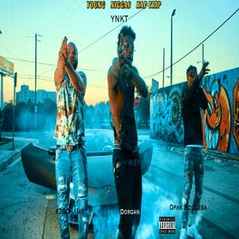 Album cover of Ynkt