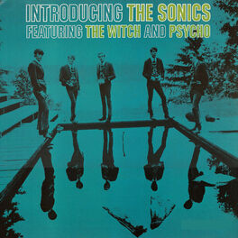 Album cover of Introducing The Sonics