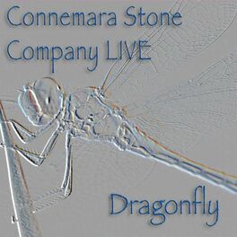 Album cover of Dragonfly (Live)