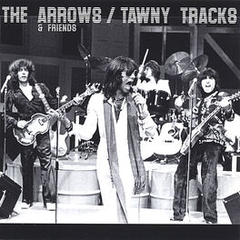 Album cover of Tawny Tracks