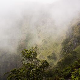 Album cover of Through The Canopy