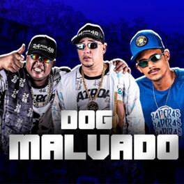 Album cover of Dog Malvado