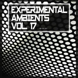 Album cover of Experimental Ambients, Vol. 17
