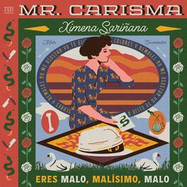 Album cover of Mr. Carisma