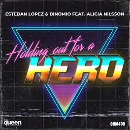 Album cover of Holding out for A Hero