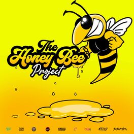 Album cover of The Honey Bee Project