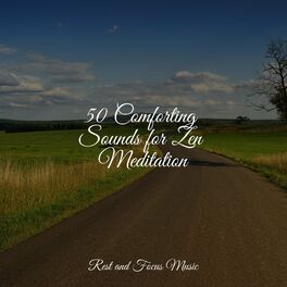 Album cover of 50 Comforting Sounds for Zen Meditation