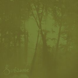 Album cover of Subsume (2020 Remaster)