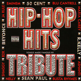 Album cover of Dubble Trubble Tribute - Hip Hop Hits