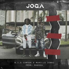 Album cover of Joga