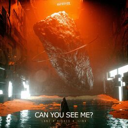 Album cover of Can You See Me?