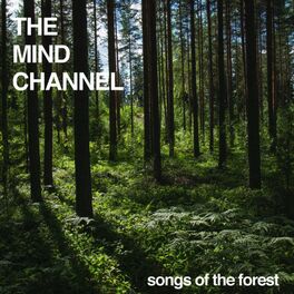 Album cover of Songs Of The Forest