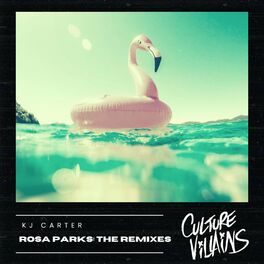 Album cover of Rosa Parks: The Remixes